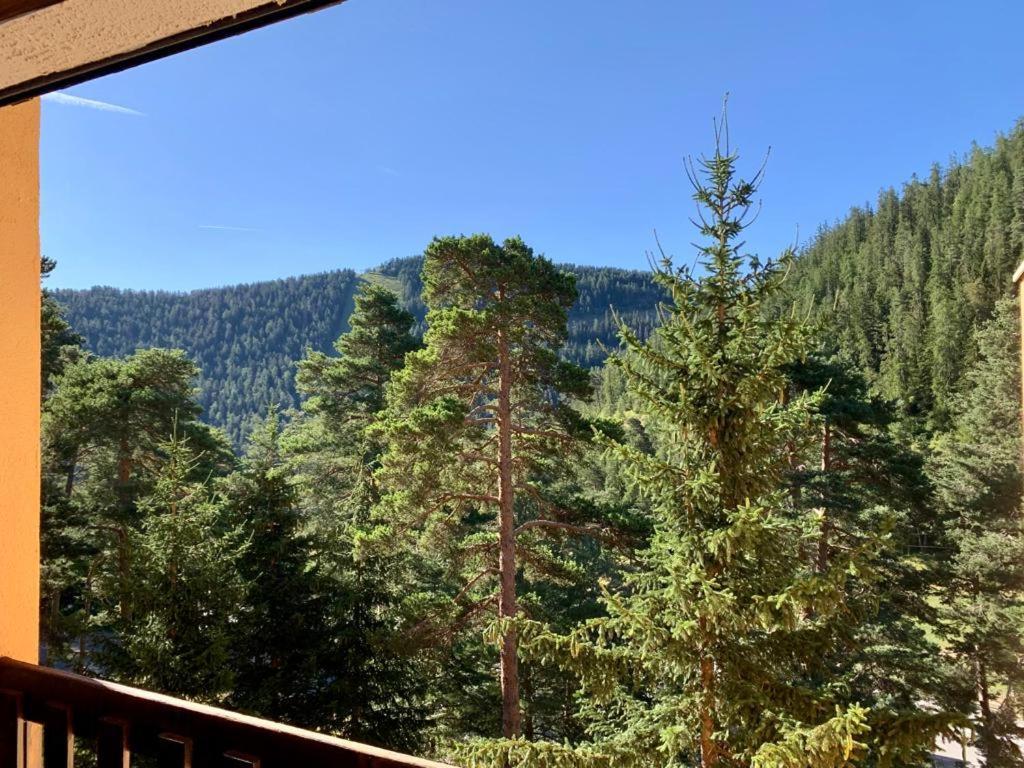Apartment 3 Pieces Au Pied Des Pistes De La Colmiane *